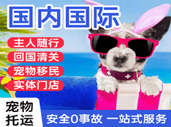 阿尔山伊尔施航空快递国际宠物托运 【国